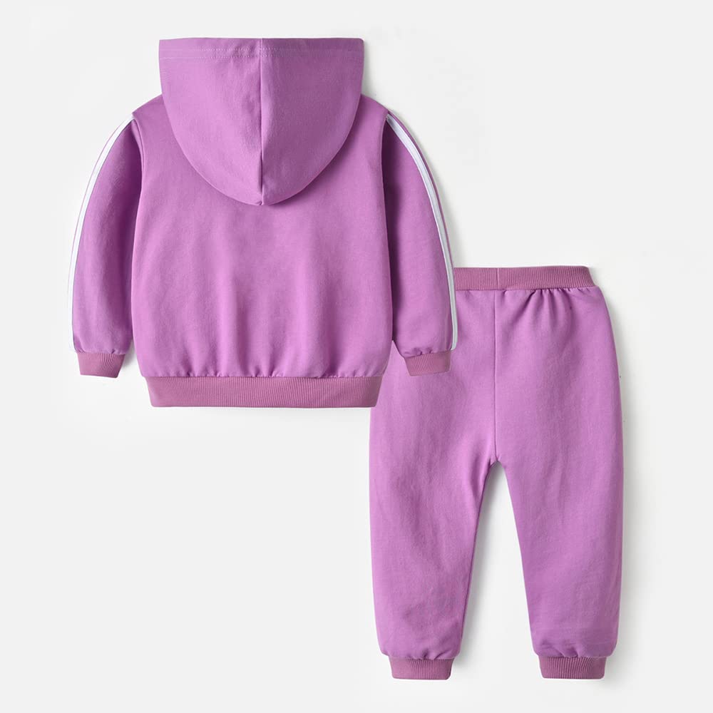 Toddler Boys Zip Cotton Sweatsuit