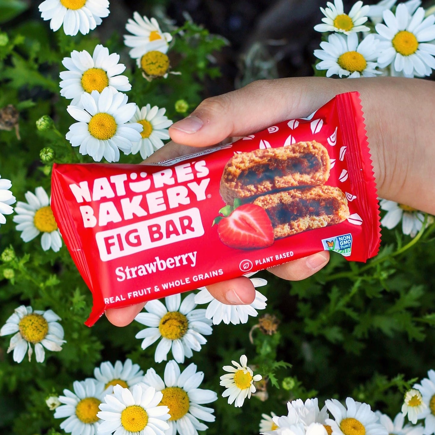 Nature’s Bakery Whole Wheat Fig Bars, Raspberry, Real Fruit, Vegan, Non-GMO, Snack bar, 6 Count (Pack of 6)